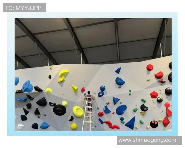 攀岩精神的传承与挑战南京攀岩队的成长之路与团队意识探讨