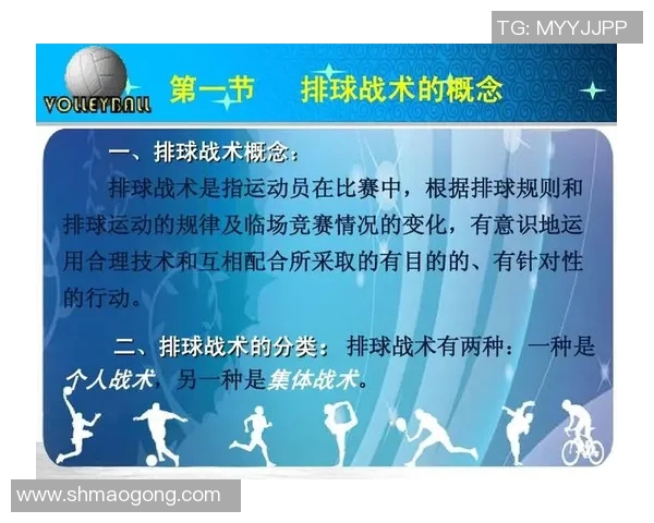 杭州排球队技术分析与发展探讨聚焦排球运动的未来与挑战