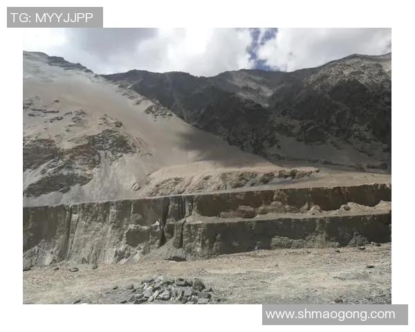 深度探讨刘伟在DOTA2世界中的成长与挑战之路