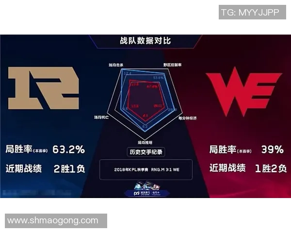 王者荣耀深度解析：WE战队团队协作背后的秘密与策略探讨