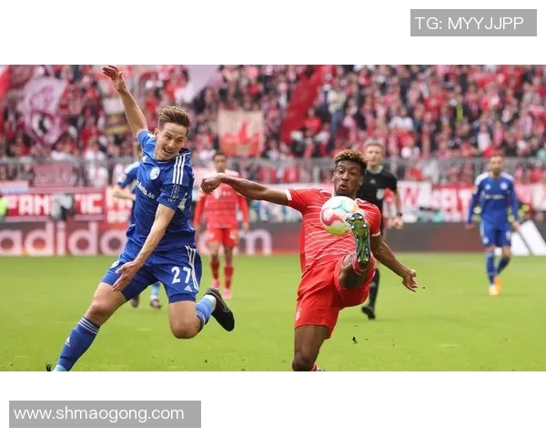 沙尔克与拜仁精彩对决录像回放全程回顾与分析