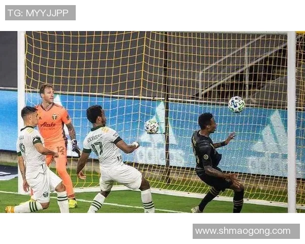 波特兰伐木与温哥华的城市魅力与文化碰撞探讨