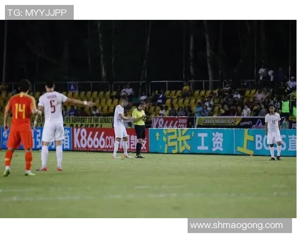 2008年巴西与葡萄牙足球对决回顾与精彩瞬间分析