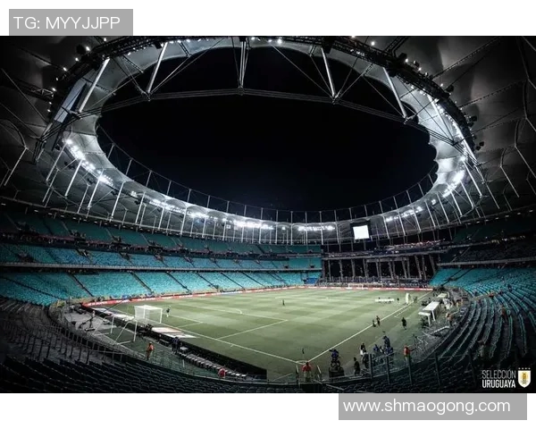 乌拉圭与委内瑞拉比赛结果揭晓球迷热议精彩瞬间与未来展望